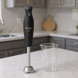 Mixeur plangeant Easychef 450 W Moulinex DD451810