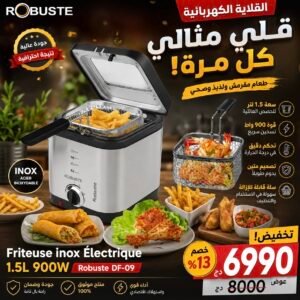 Friteuse inox Électrique 1.5L 900W Robuste DF-09