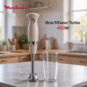 Bras Mixeur 450W Turbo soleil Moulinex DD471A10
