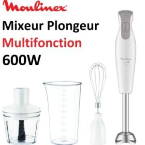 Mixeur Plongeur Multifonction 3en1 Avec Technologie Powelix 600W Moulinex Dailychef DD553110