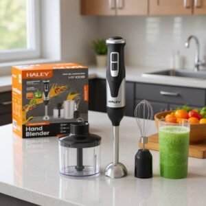 Bras mixeur Inox 4en1 1200W Haley